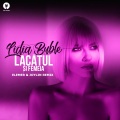Lidia Buble - Lacătul Și Femeia (Elemer&JoylinExtendedRemix)