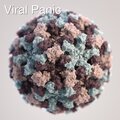 Steve Gray、Donnie Dubose、Tyler For Once! - Viral Panic