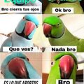 No One、Yarito - StarZ