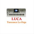 LUCA - Turceasca La Orga