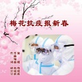 韩晓辉 - 梅花抗疫报新春