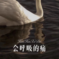 会呼吸的痛
