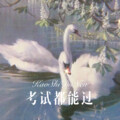 清一色 - 周贝勒-谁记得 (Remix)