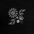 Convexity - Sophistry
