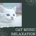 Cat Music Relaxation - Softening Ambience