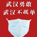 2089编 - 武汉勇敢