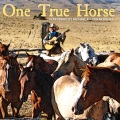 michael martin murphey - One True Horse