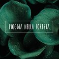 Pioggia nella Foresta
