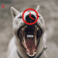 JDG - Crunch Time (Explicit)