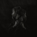 Josh Pyke、Elana Stone - The Summer (Acoustic)