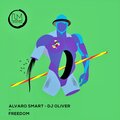 Alvaro Smart、DJ Oliver - One Night (ExtendedMix)