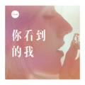 带泪的鹅 - 那是你离开了北京的生活 (DJ版)