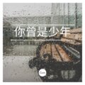 锅盖 - 你的答案 (DJ版)