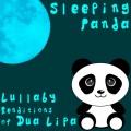Sleeping Panda - Don't Start Now