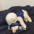 美丽的相逢