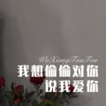 我想偷偷对你说我爱你