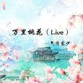 东少吖 - 万里桃花 (Live)
