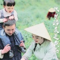 U-Young - 故乡醉美是黄茶