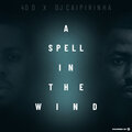 40D、Dj Caipirinha - A Spell In The Wind (Original Mix)
