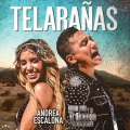 Telarañas