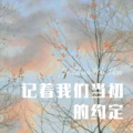 记着我们当初的约定 (Remix)