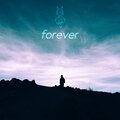 VELOCITY NINE - Forever
