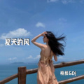 夏天的风 (DJ版)