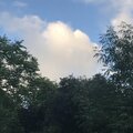 Purgatory - fall for u (Explicit)