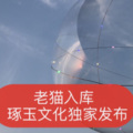 你的老猫 - 欠你一个天下