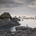 张酷 - Risean