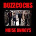 Noise Annoys