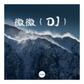 霜语 - 微微 (DJ版)