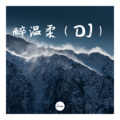 香子 - 醉温柔 (DJ版)