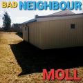 Bad Neighbour