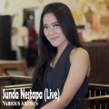 Various Artists、Rania - Hareudang (Reggae Koplo Version)(Live)