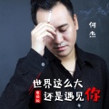 何杰 - 世界这么大还是遇见你