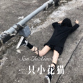 三只小花猫