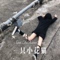浪子.. - 三只小花猫