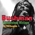 Bushman Masterpiece Mixtape by Fm Records