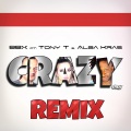 Bbx - Crazy (BadJokerRemix)
