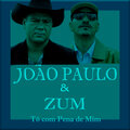Zum、João Paulo - Tô Com Pena de Mim