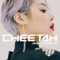 치타(CHEETAH) - Kick It