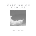 LARZ Moods - Walking on Clouds