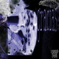Naxowo、ignacio javier arellano lemus - Gracias.