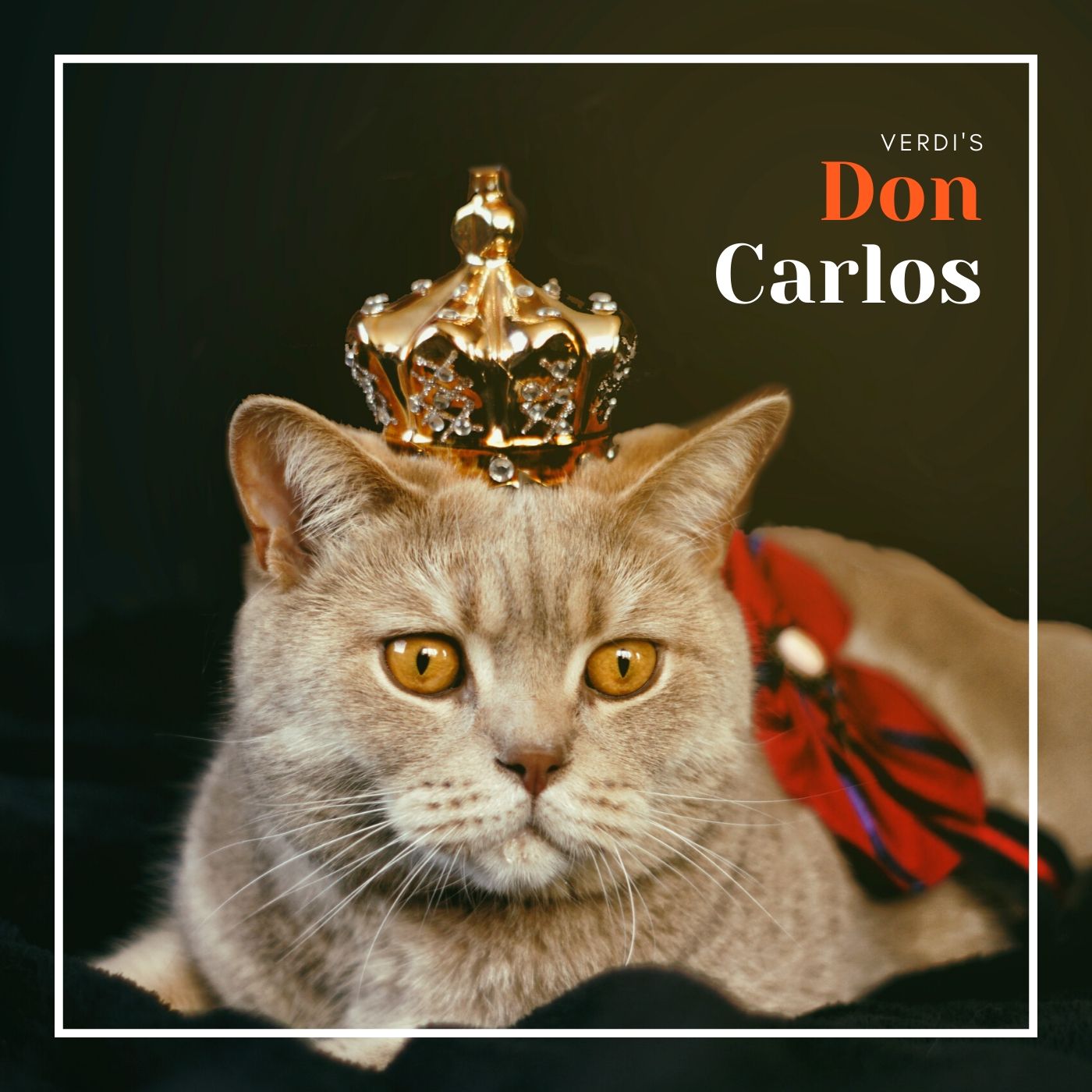 Claudine Collart、Alain Vanzo、René Bianco、Xavier Depraz、Lucien Lovano、Joseph Peyron、Germaine Bonnet、Charles Bruck、Jacques Mars、Geneviève Macaux - Aj je ne verrai plus la Reine