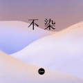 王一浪 - 不用去猜 (dj)