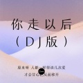 飞舞 - 我的太氧 (DJ)