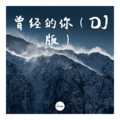 飞舞 - 超级喜欢你 (DJ版)