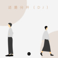 飞舞 - 微微 (DJ版)