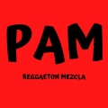 Dj Perreo - Pam (Reggaeton Mezcla)